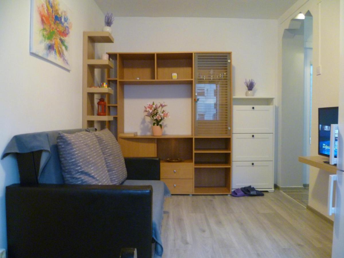 Romanilor - Studio First Floor Дева Экстерьер фото